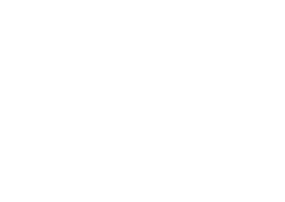 Analog Espresso Works
